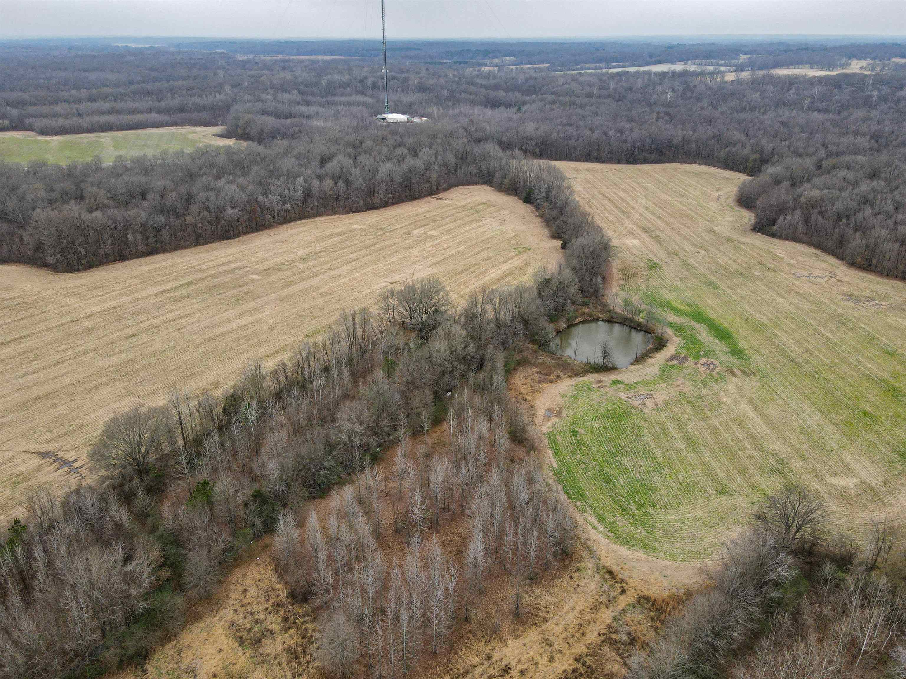 Brunswick Road Arlington, TN 38002 - Photo 5 of 13