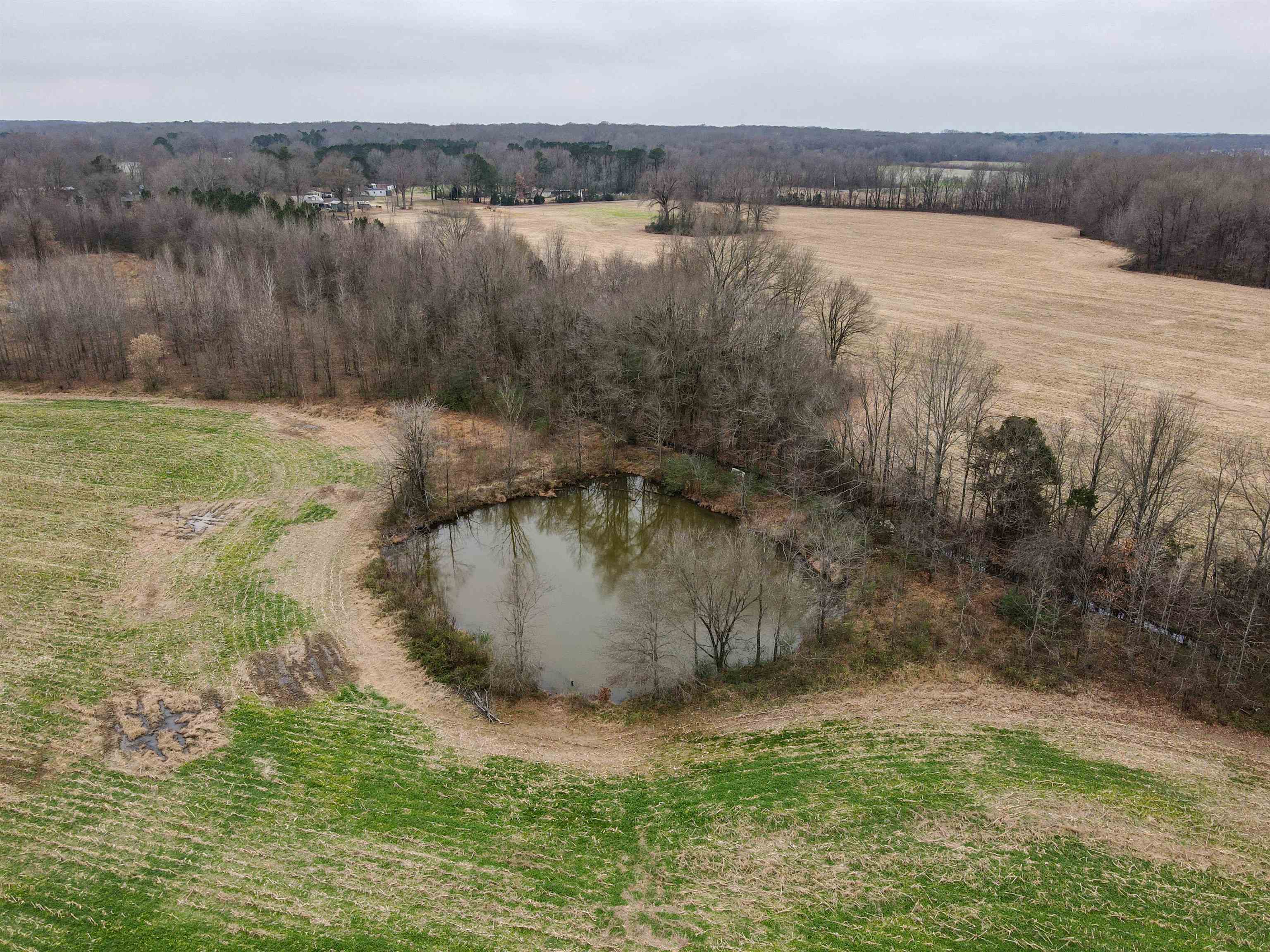 Brunswick Road Arlington, TN 38002 - Photo 6 of 13