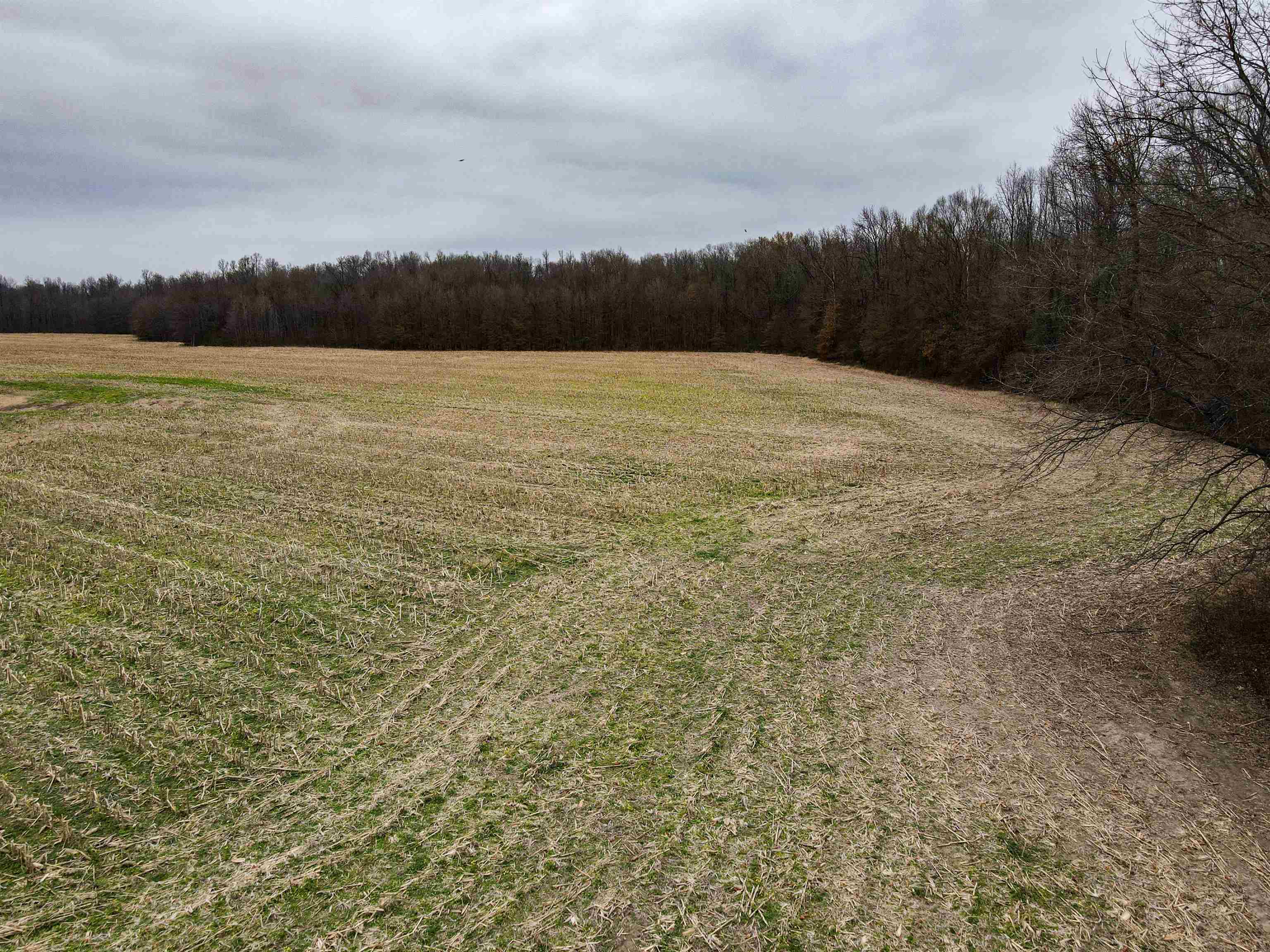 Brunswick Road Arlington, TN 38002 - Photo 7 of 13