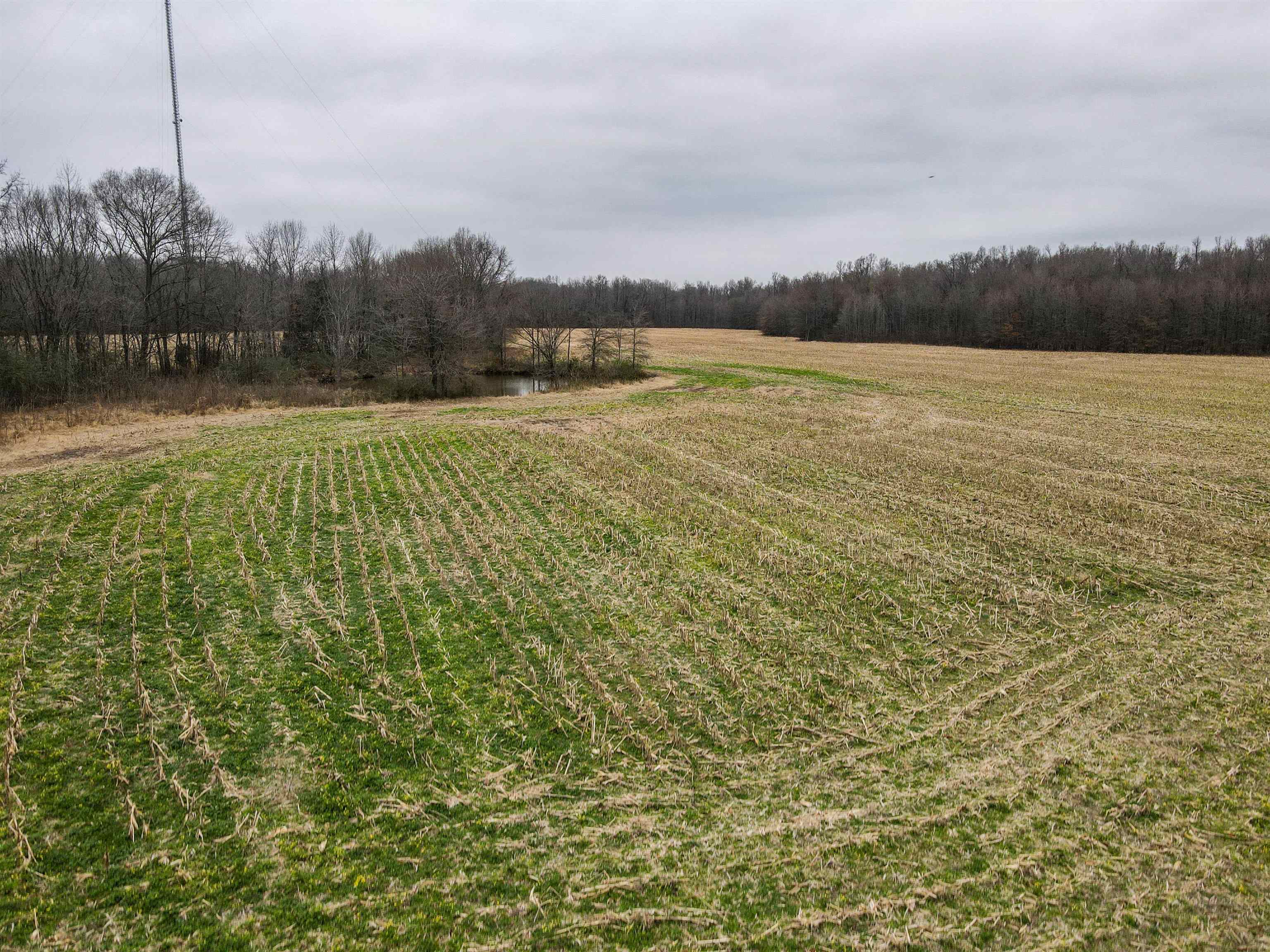 Brunswick Road Arlington, TN 38002 - Photo 8 of 13