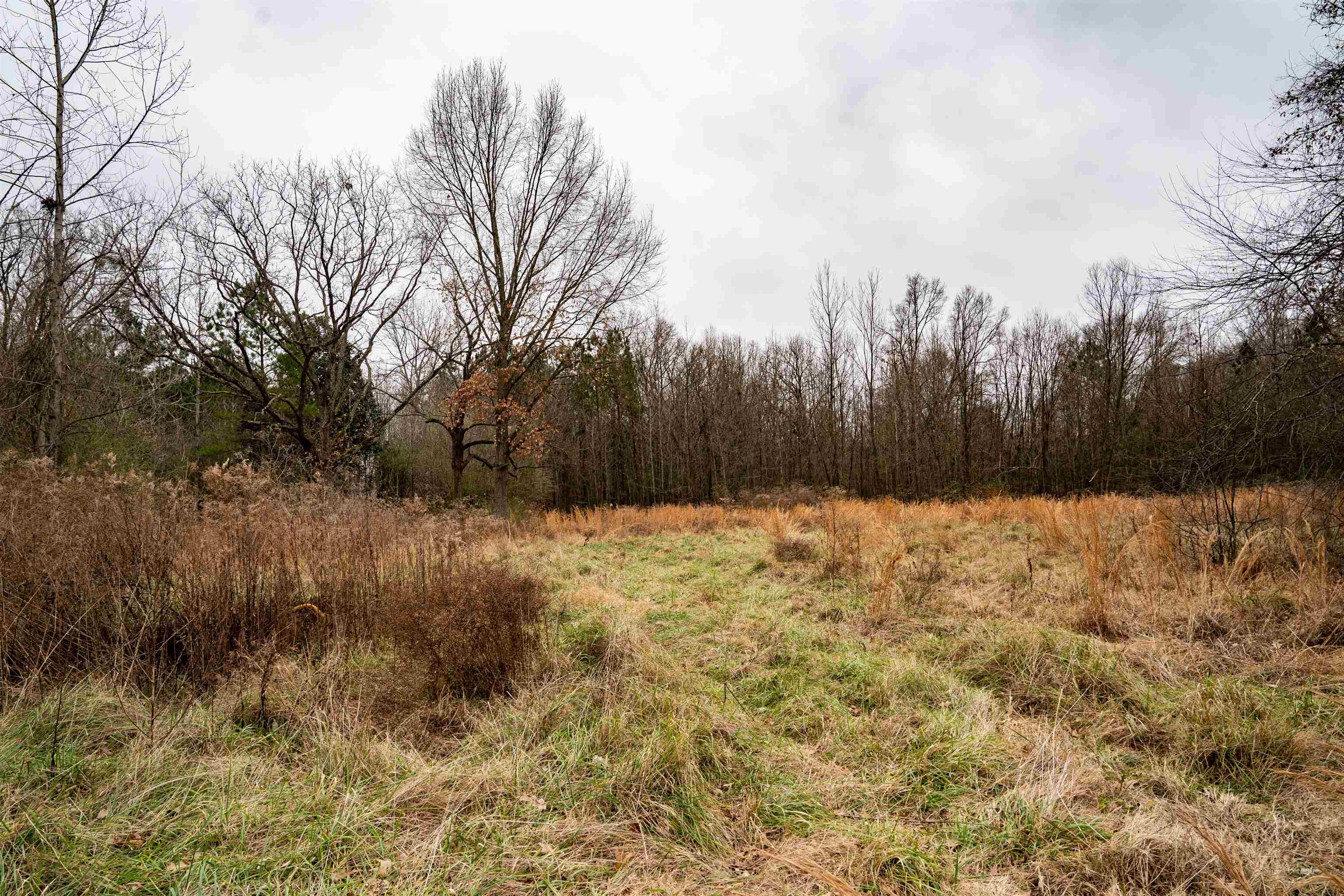 Brunswick Road Arlington, TN 38002 - Photo 9 of 13