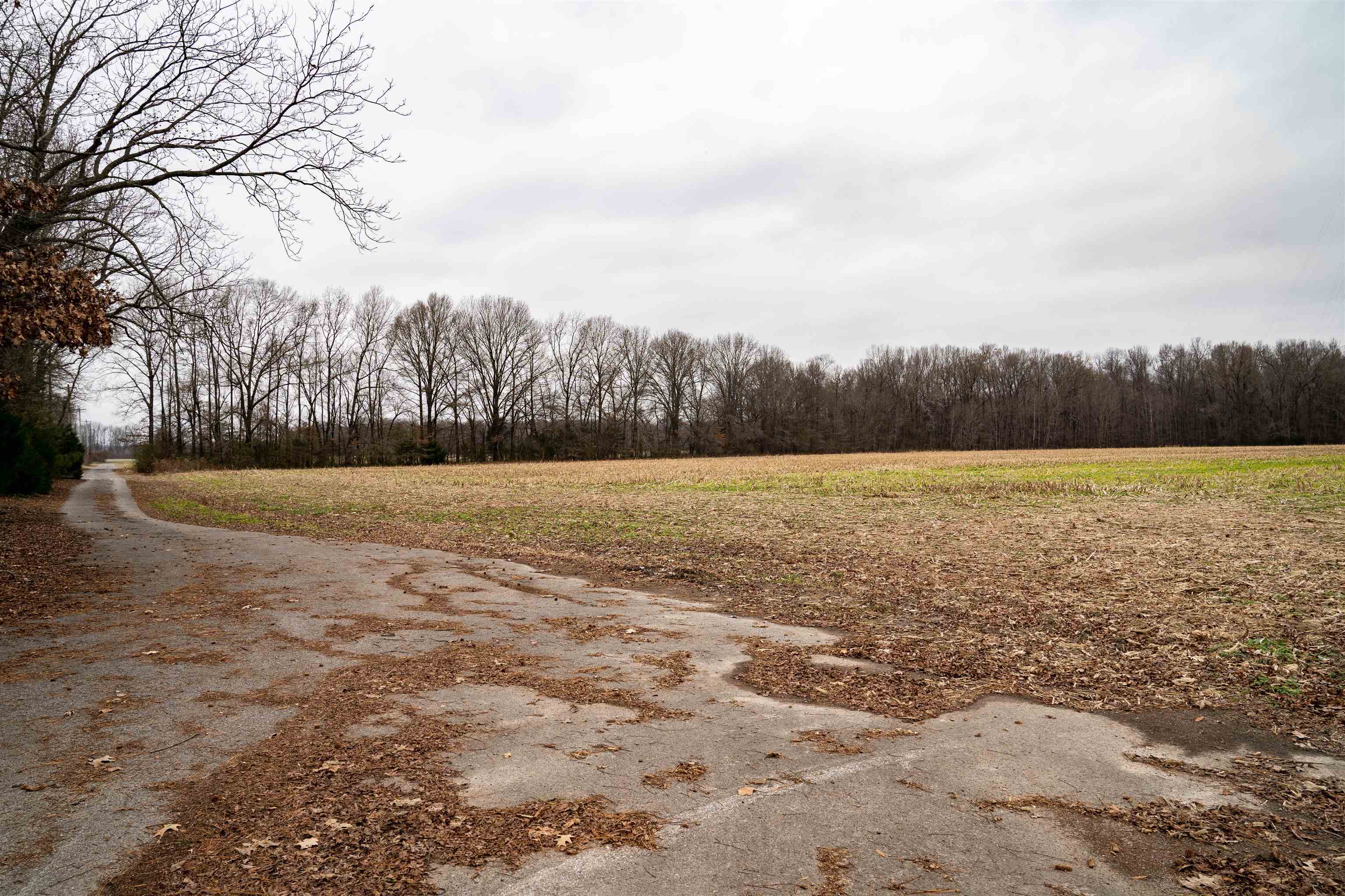 Brunswick Road Arlington, TN 38002 - Photo 10 of 13