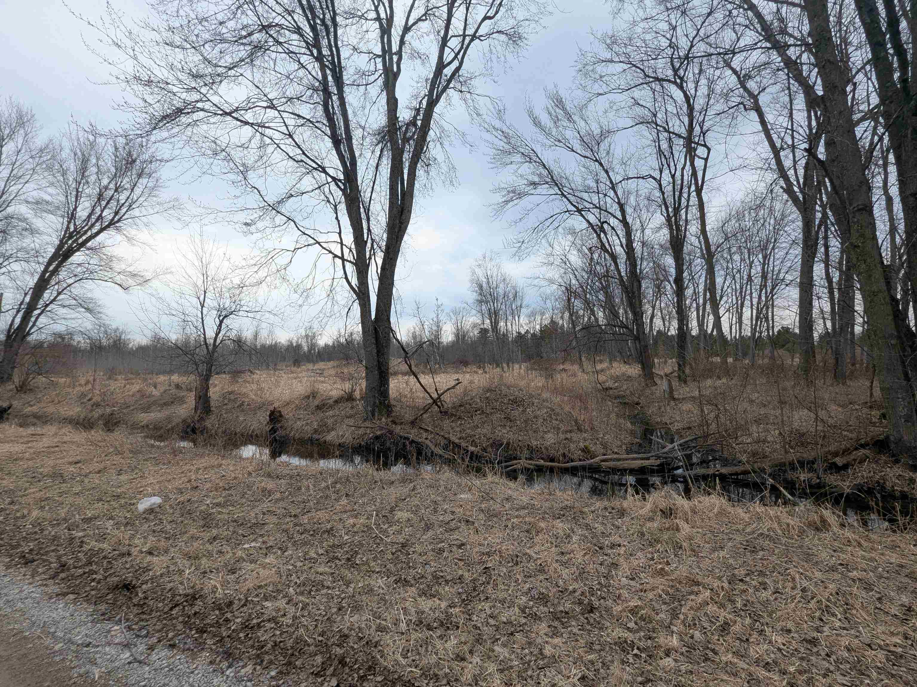 4438 Reynolds Road Turner, MI 48765 - Photo 7 of 40