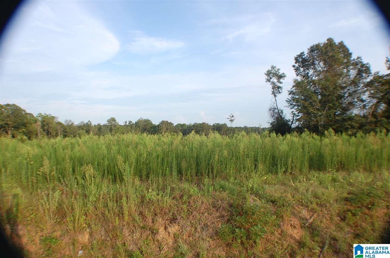 16 County Road, Unit 90 Maplesville, AL 36750 - Photo 15 of 15