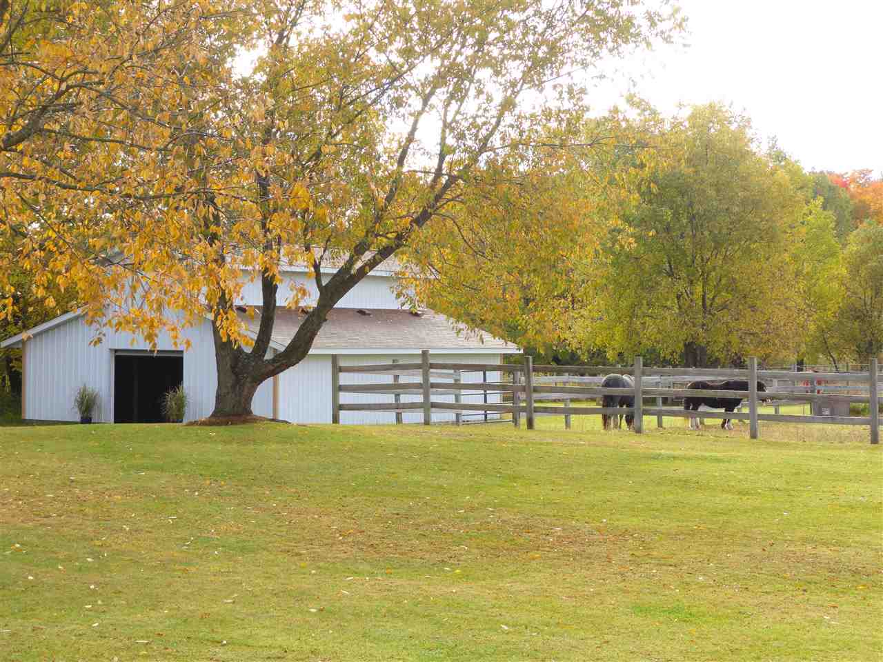 6194 Gleaner Hall Road Kingsley, MI 49649 - Photo 4 of 41 1880825-3.JPG