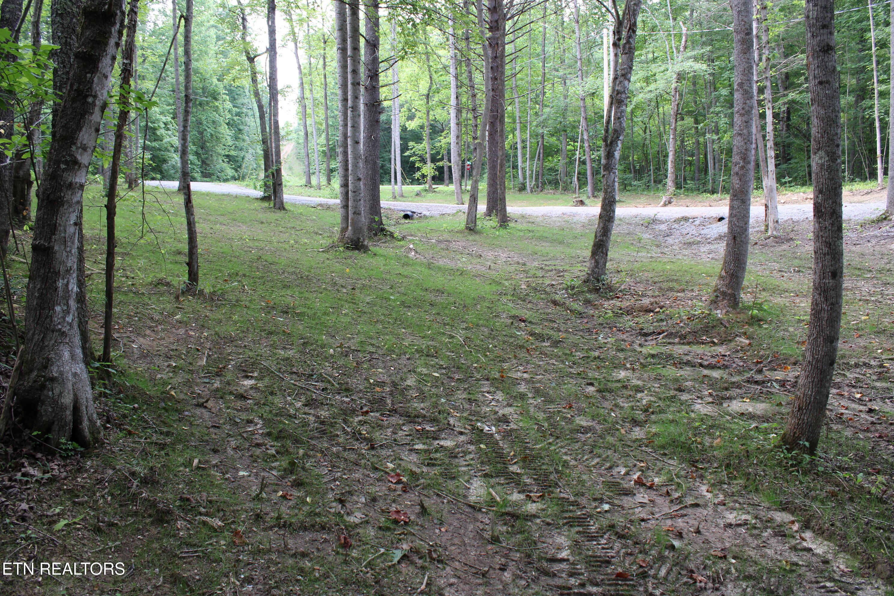 137 John Cox Road Deer Lodge, TN 37726 - Photo 30 of 43 IMG_0329