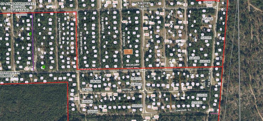 416 Incline Road Satsuma, FL 32189 - Photo 2 of 4