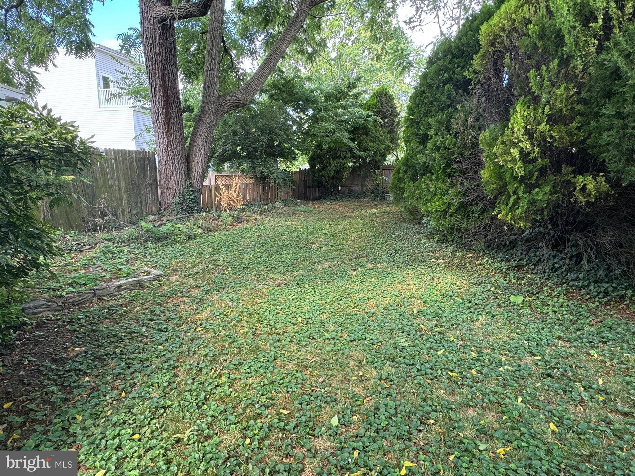 125 South Bentz Street Frederick, MD 21701 - Photo 14 of 15