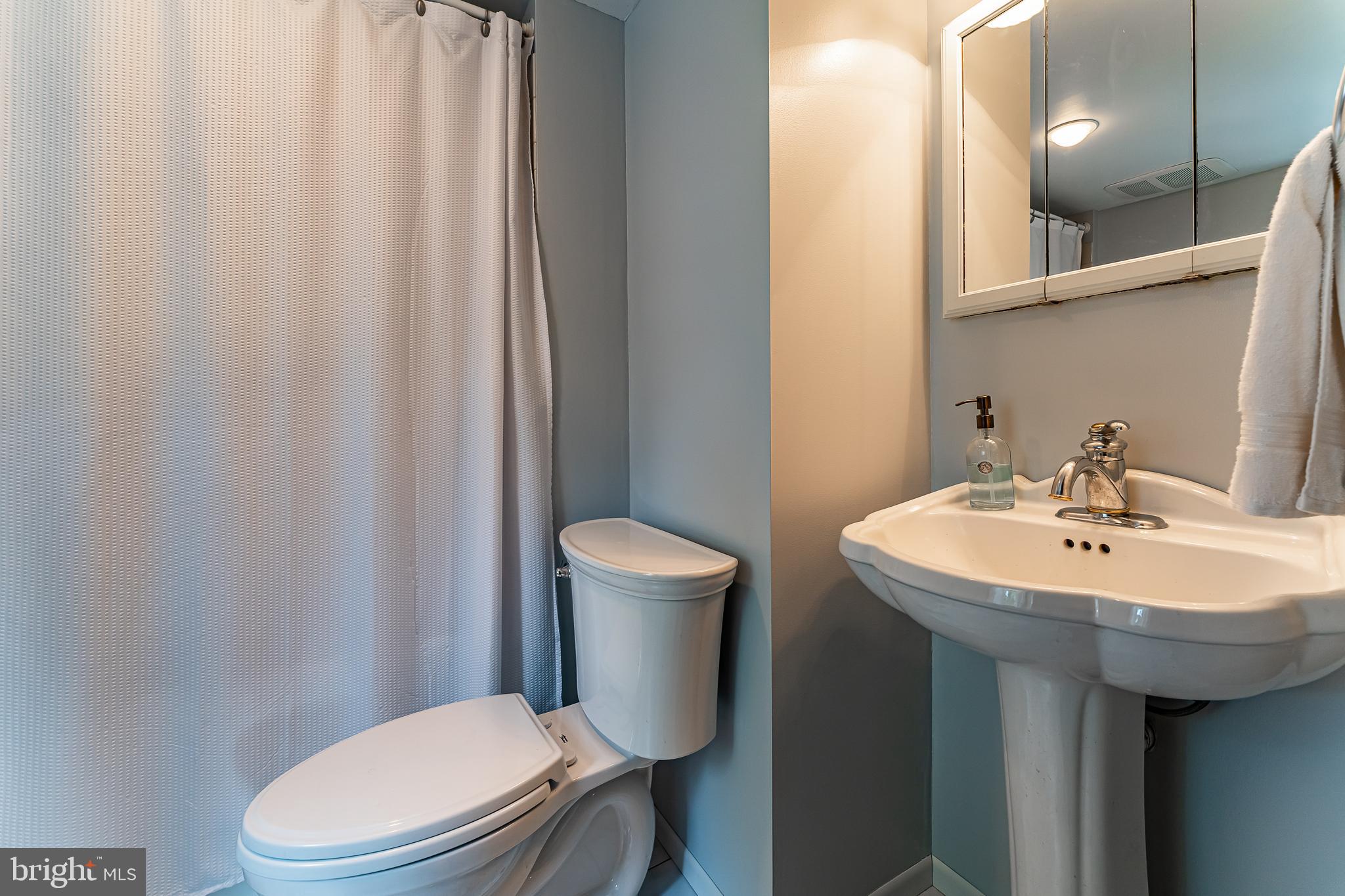 161 Meadow Road Quakertown, PA 18951 - Photo 26 of 50 2nd floor hall bath