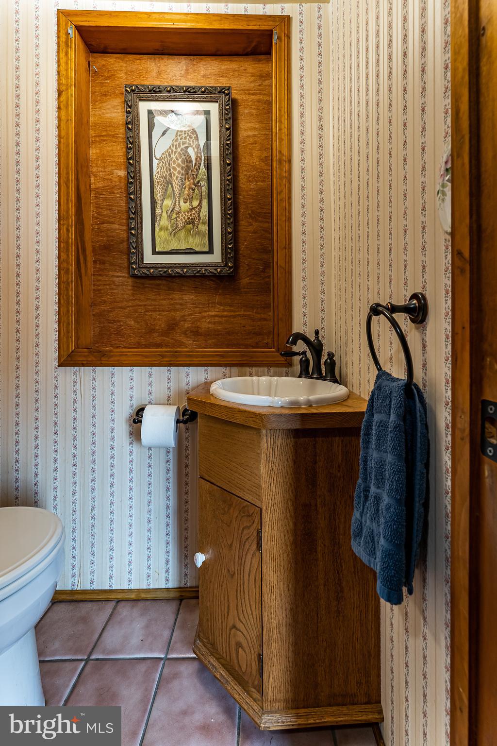 161 Meadow Road Quakertown, PA 18951 - Photo 8 of 50 Powder Room