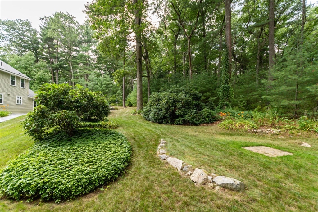 64 Wayside Inn Road Marlborough, MA 01752 - Photo 7 of 42 a view of a garden with plants