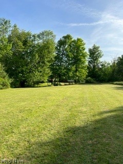 9205 Valley View Road Macedonia, OH 44056 - Photo 35 of 35 Peaceful park-like yard