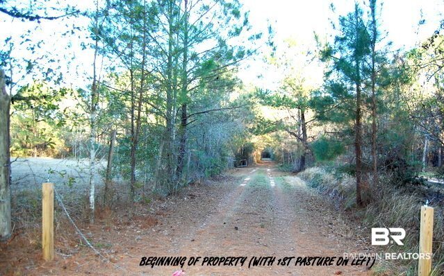 12050 Mary Ann Bch Road Fairhope, AL 36532 - Photo 12 of 44