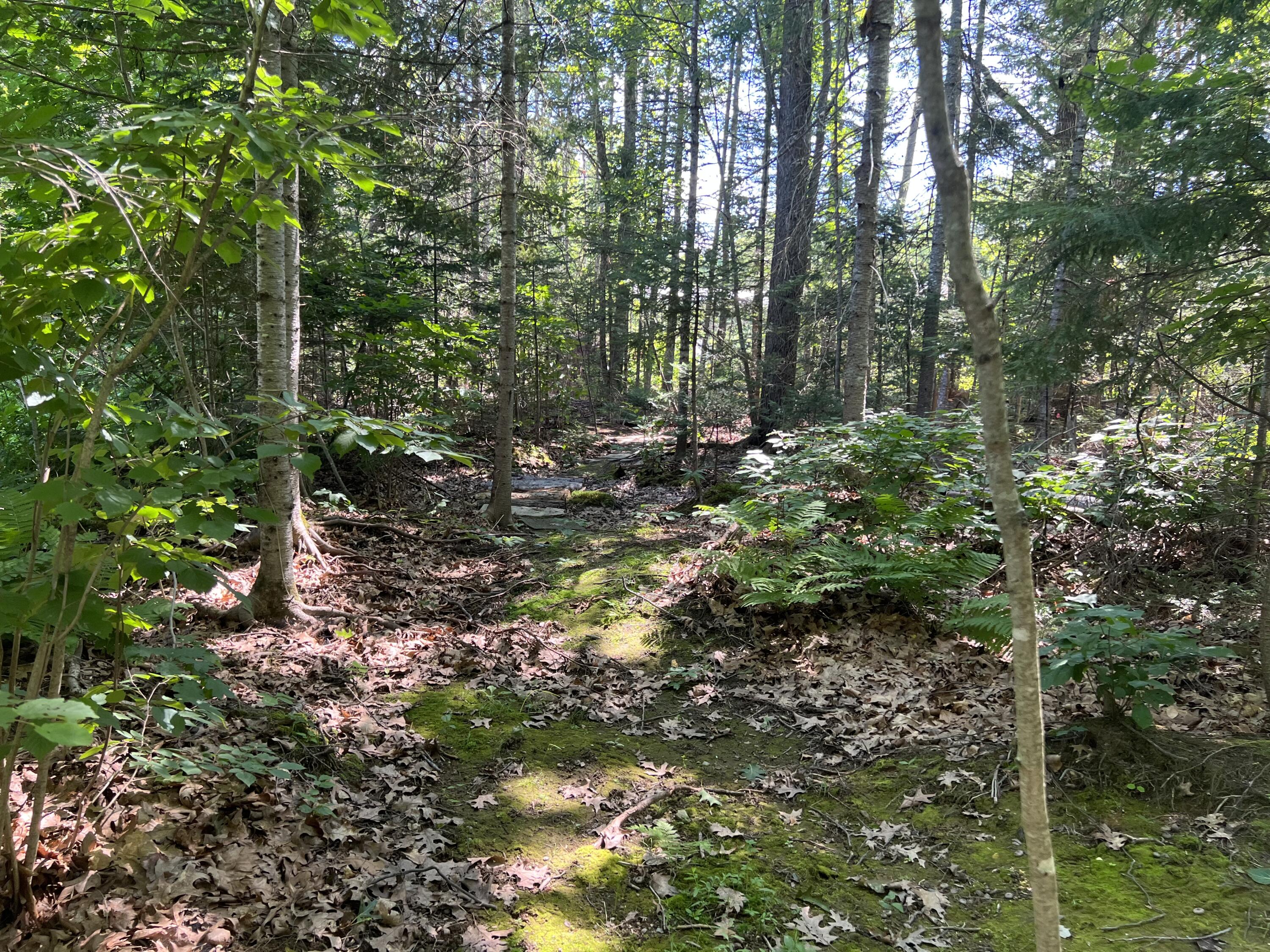 244 Lancaster Brook Road Glenburn, ME 04401 - Photo 63 of 80 Trail 12