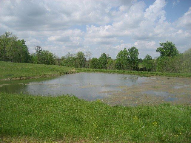 1234 Jim Clark Road Lancaster, KY 40444 - Photo 31 of 55 Photo 31