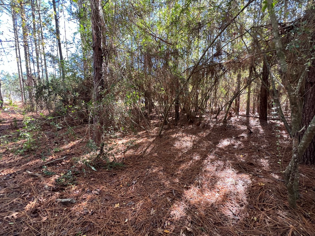 766 South Watford Road Slocomb, AL 36375 - Photo 21 of 37