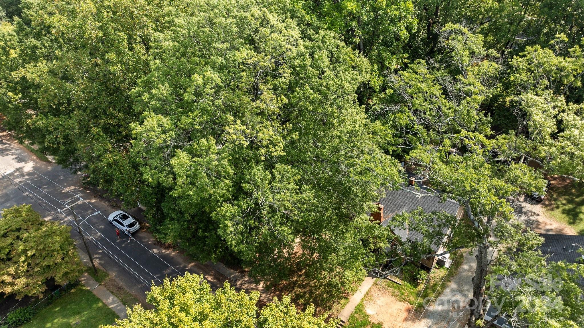 3020 Rush Avenue Charlotte, NC 28208 - Photo 22 of 31 a view of a city with lush green forest