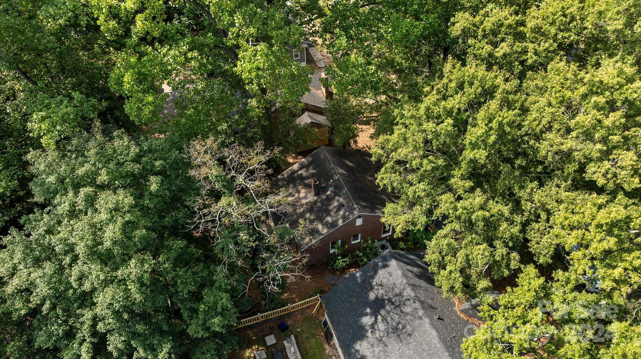 3020 Rush Avenue Charlotte, NC 28208 - Photo 24 of 31 a view of a tree