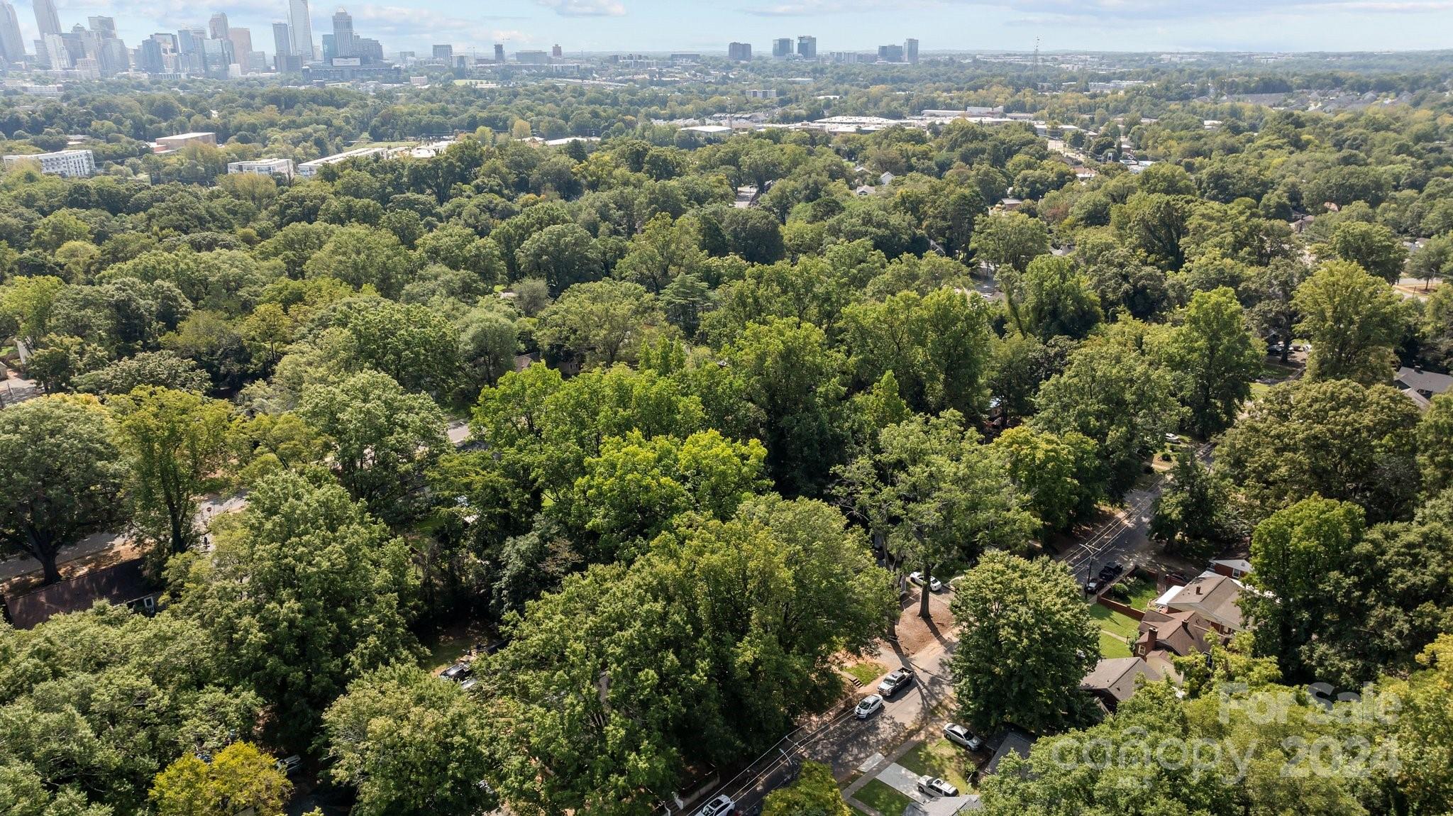 3020 Rush Avenue Charlotte, NC 28208 - Photo 28 of 31 an aerial view of residential house with green space