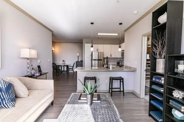 a living room with furniture and a dining table with kitchen view