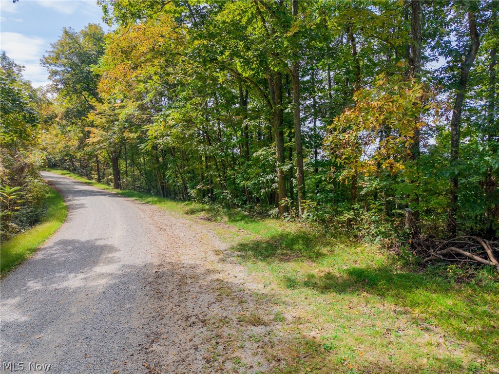 Lew Marten Road Summerfield, OH 43788 - Photo 27 of 50 Gallery Image 27