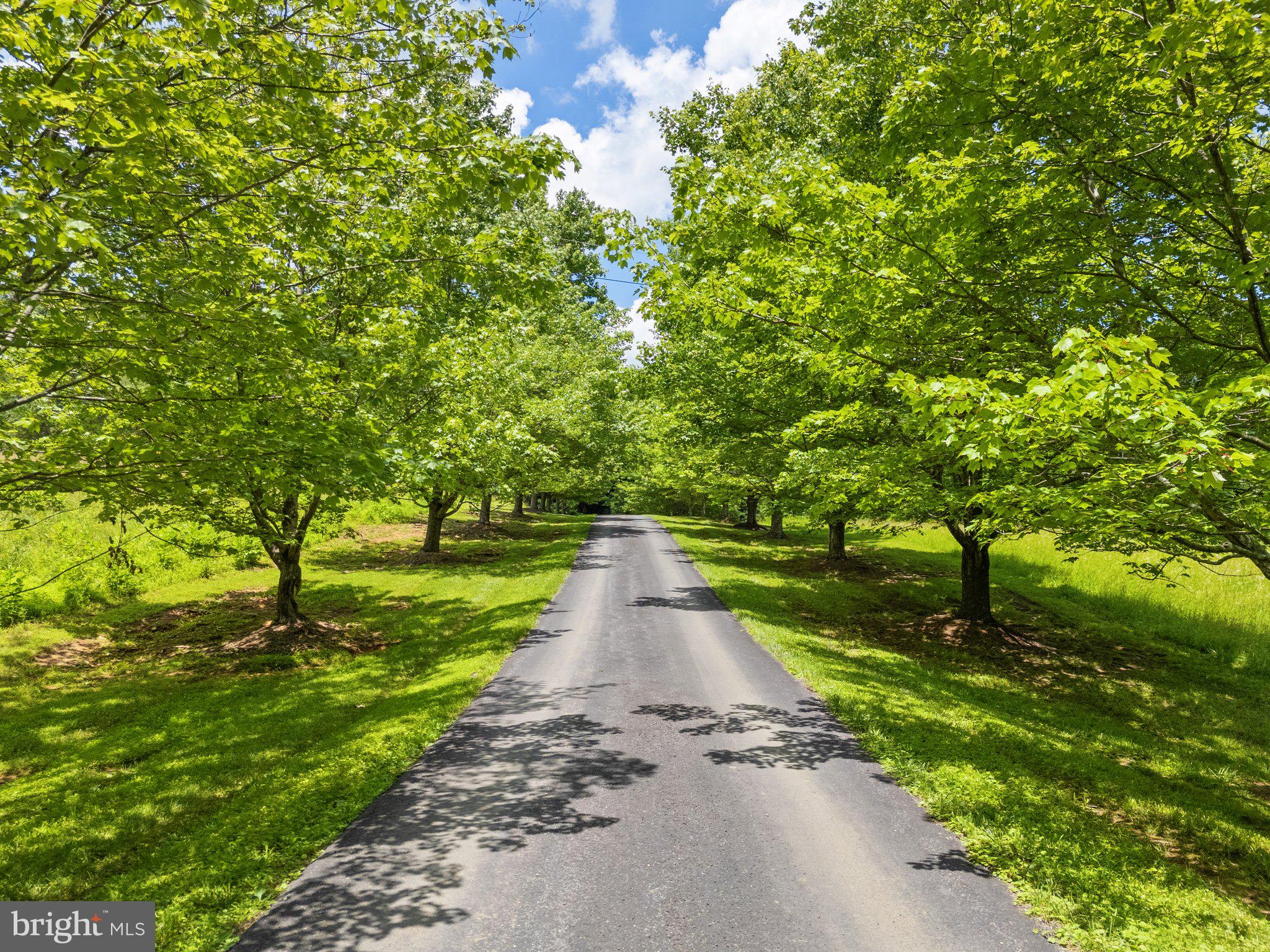156 Bear Wallow Road Huntly, VA 22640 - Photo 16 of 68 a view of a pathway of a park