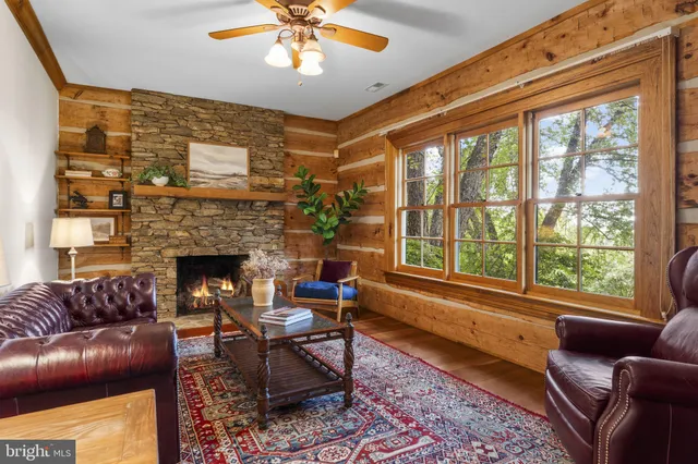 a view of a tree with a yard