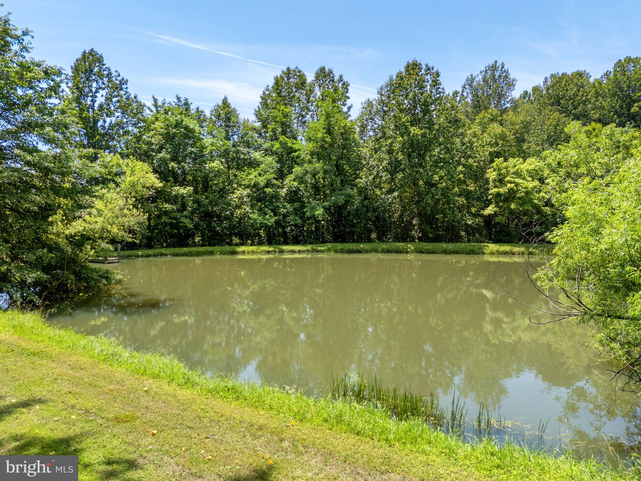 156 Bear Wallow Road Huntly, VA 22640 - Photo 59 of 68 Stocked pond, the largest of 3.