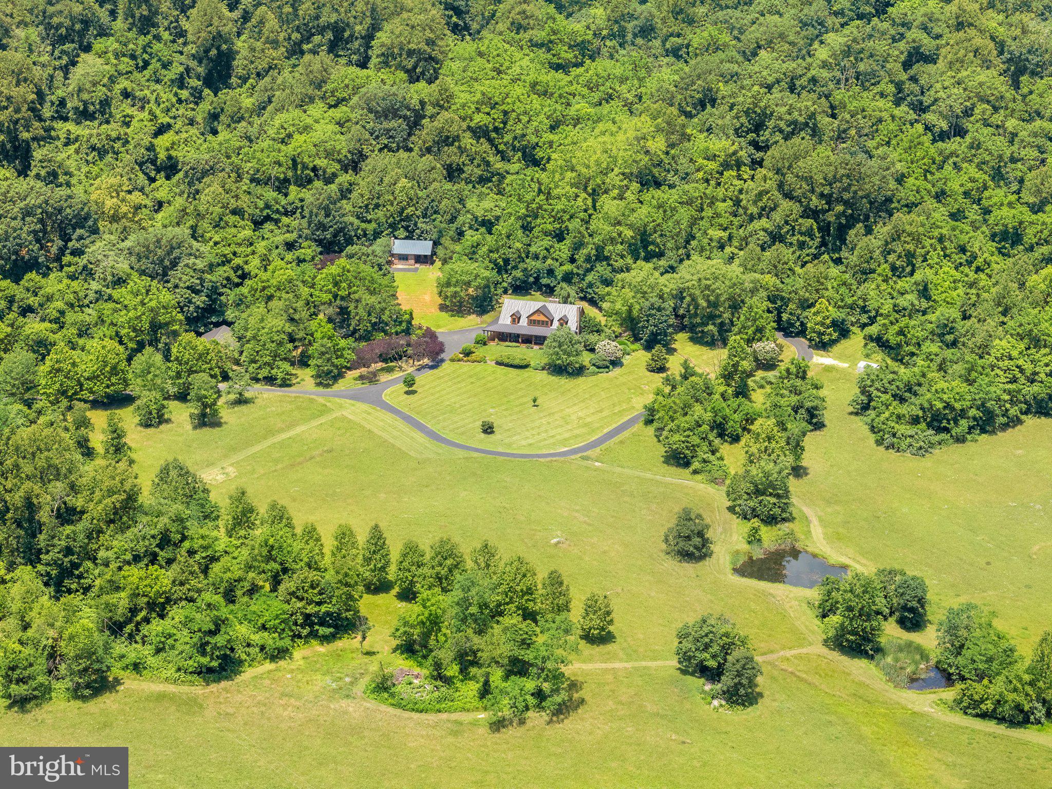 156 Bear Wallow Road Huntly, VA 22640 - Photo 60 of 68 a view of a tree with a yard