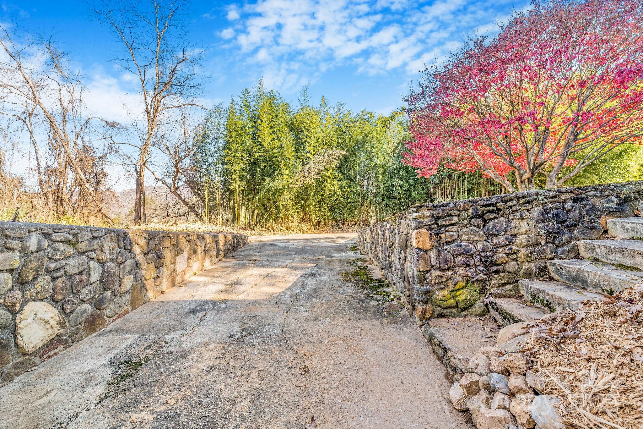 107 Woodland Church Road Clyde, NC 28721 - Photo 28 of 42 a view of yard and mountain