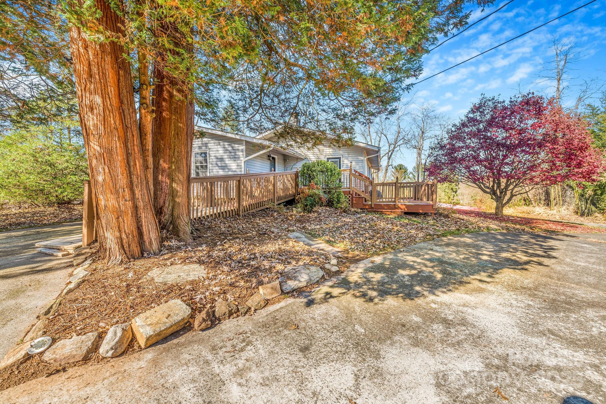 107 Woodland Church Road Clyde, NC 28721 - Photo 30 of 42 a view of a yard with a tree