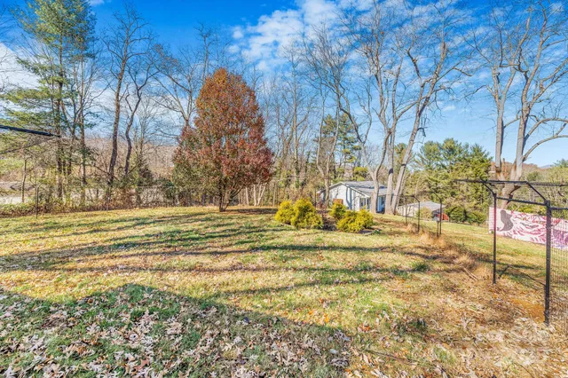 a view of yard with large trees