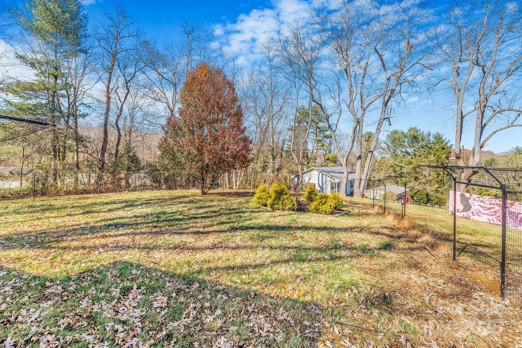 107 Woodland Church Road Clyde, NC 28721 - Photo 34 of 42 a view of yard with large trees