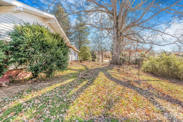 a view of a yard with plants and trees