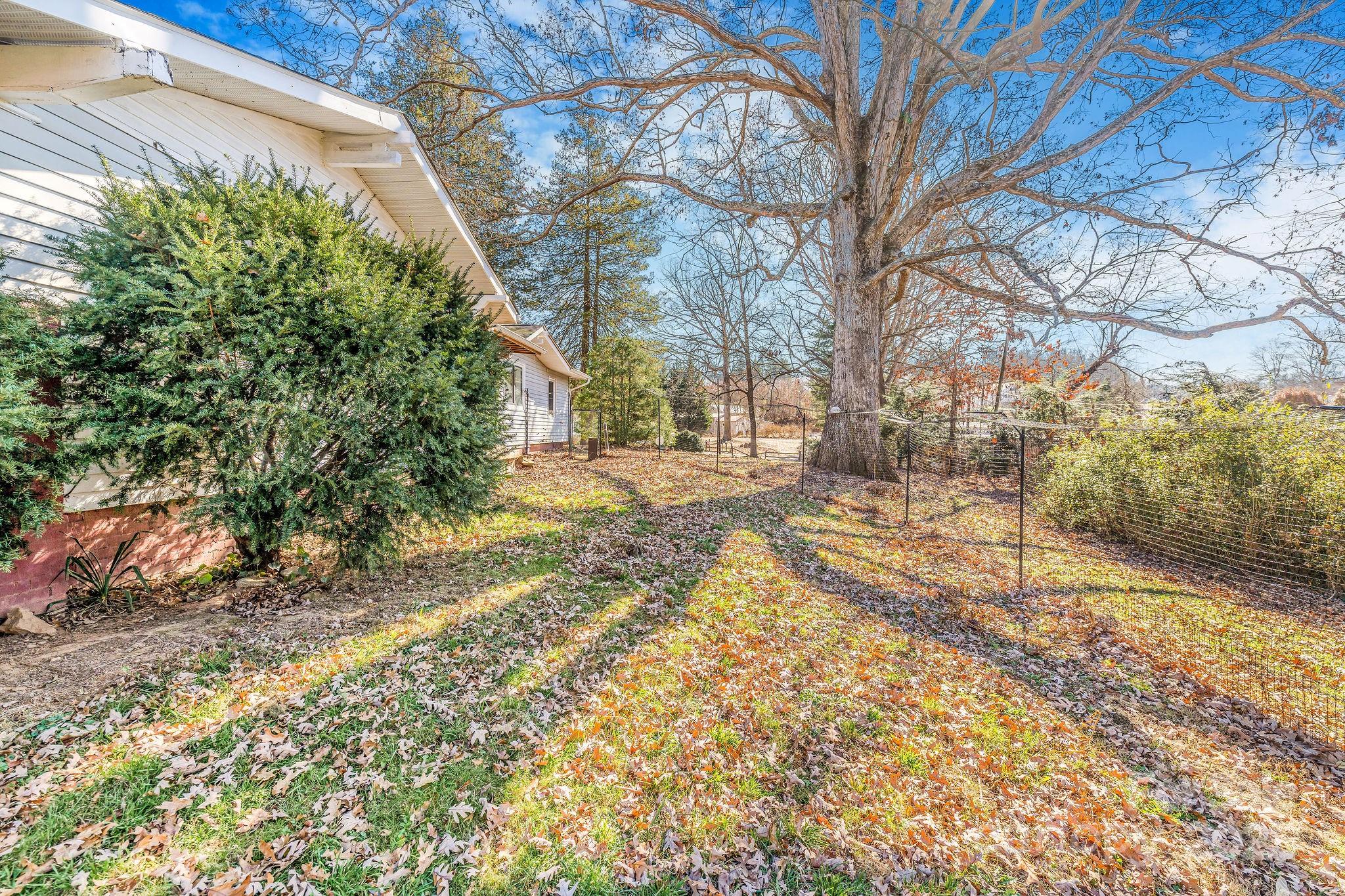 107 Woodland Church Road Clyde, NC 28721 - Photo 35 of 42 a view of a yard with plants and trees