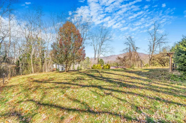 a view of back yard of the house