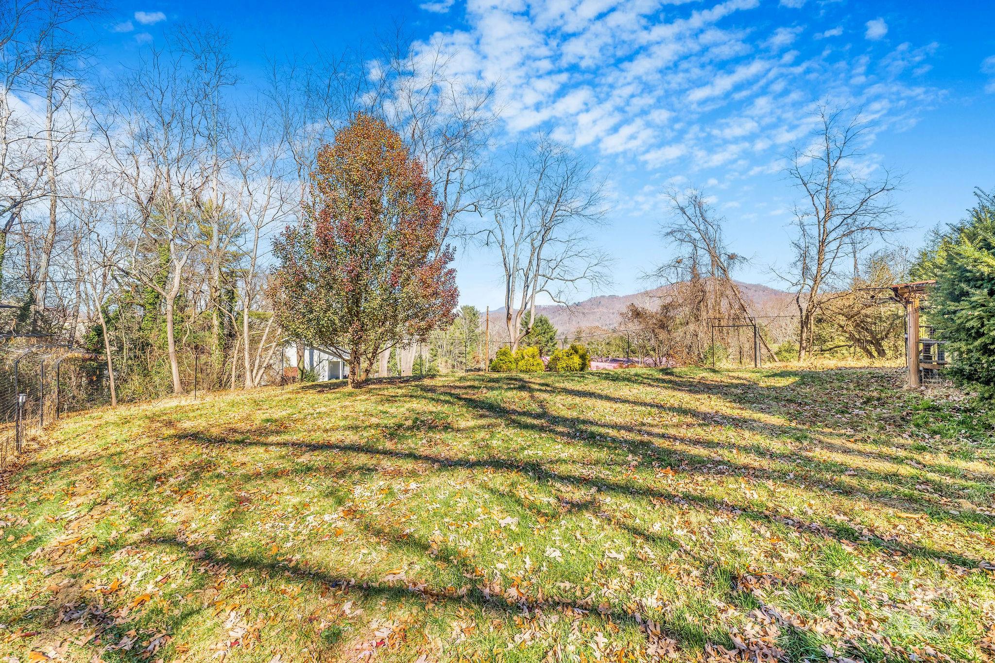 107 Woodland Church Road Clyde, NC 28721 - Photo 36 of 42 a view of back yard of the house