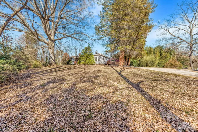a view of dirt yard with a large tree