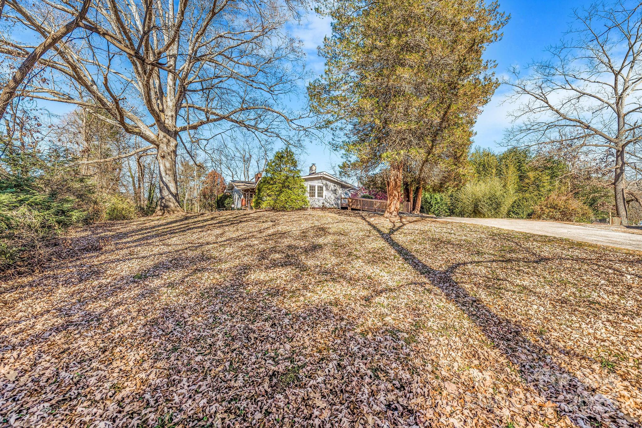 107 Woodland Church Road Clyde, NC 28721 - Photo 39 of 42 a view of dirt yard with a large tree