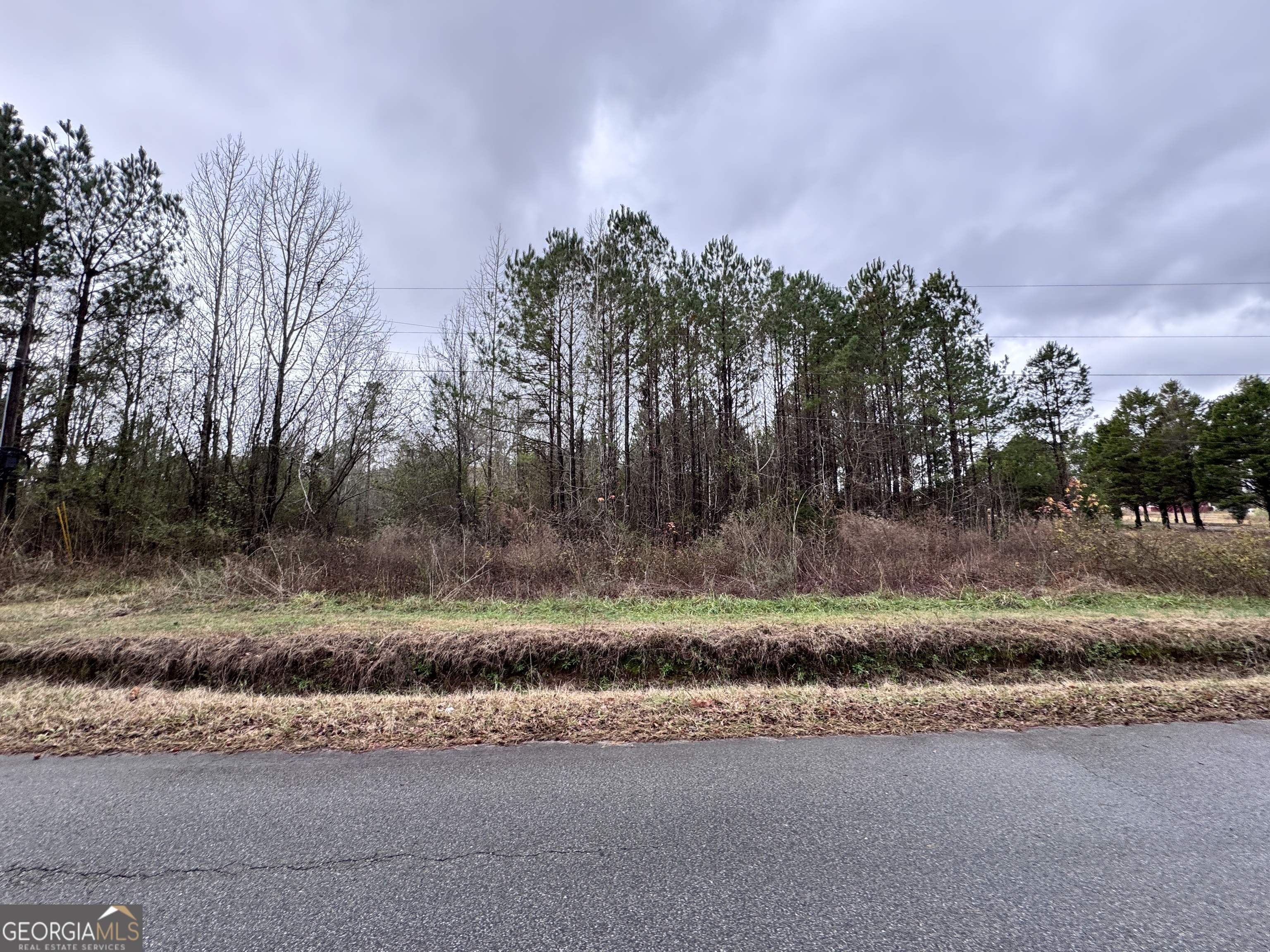 0 Powder Creek Road Concord, GA 30206 - Photo 1 of 1 a small garden covered with tall trees