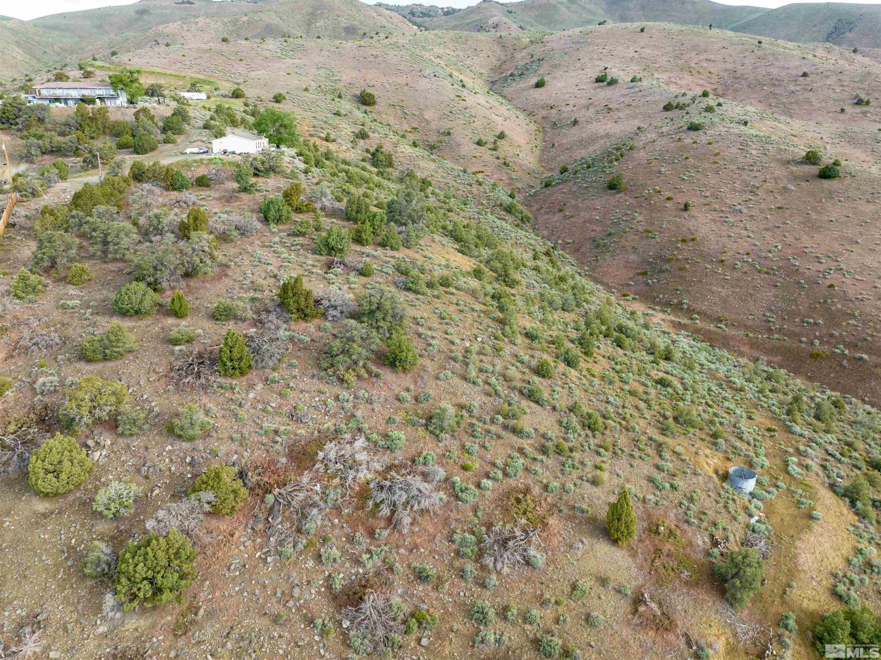 266 Linehan Road Carson City, NV 89706 - Photo 2 of 9 a view of a dry yard with lots of bushes