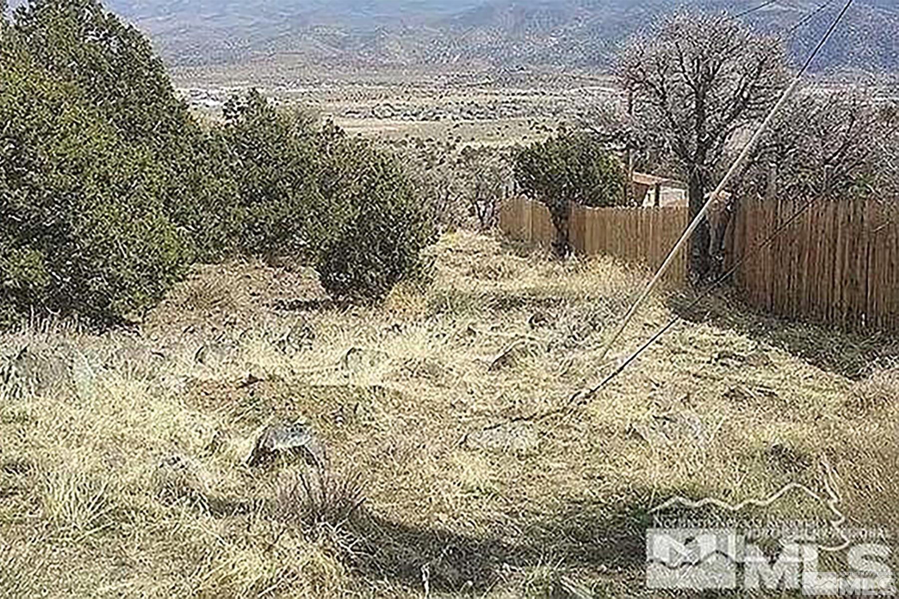 266 Linehan Road Carson City, NV 89706 - Photo 4 of 9