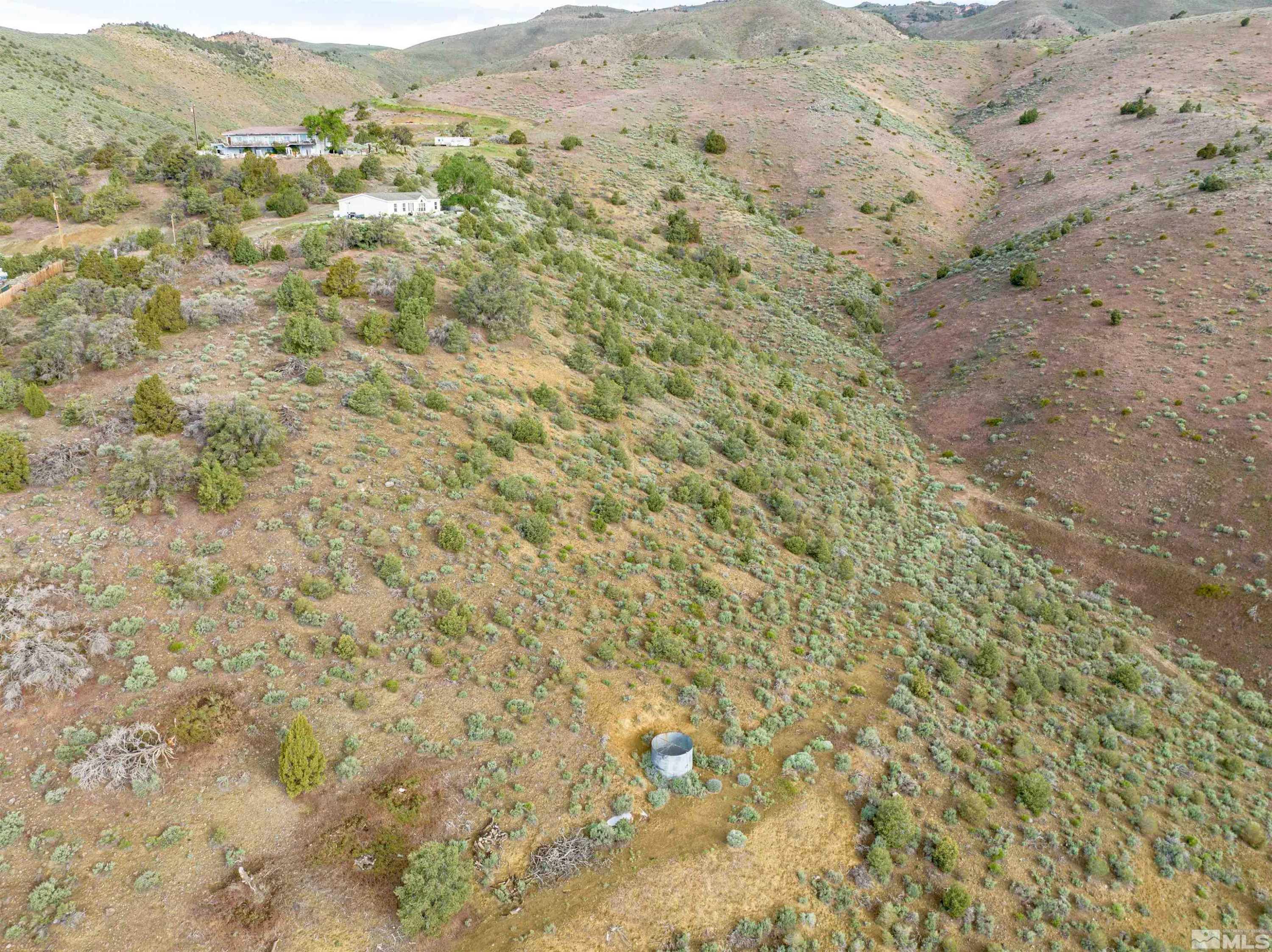 266 Linehan Road Carson City, NV 89706 - Photo 7 of 9 a view of a dry yard with mountains