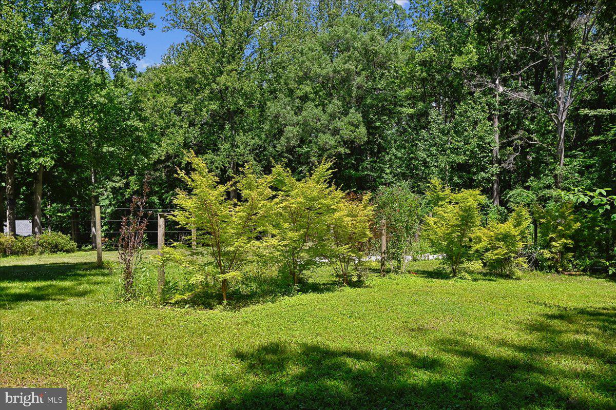 3633 Patuxent River Road Davidsonville, MD 21035 - Photo 68 of 85 Landscaping with Coral Bark Japanese Maples