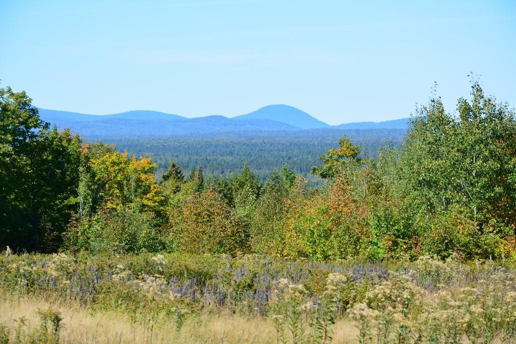 1599 Oxbow Road Oxbow, ME 04764 - Photo 32 of 35 Photo