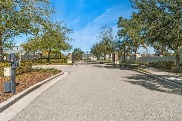 a view of city street with large trees