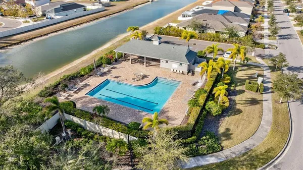 a view of a small garden