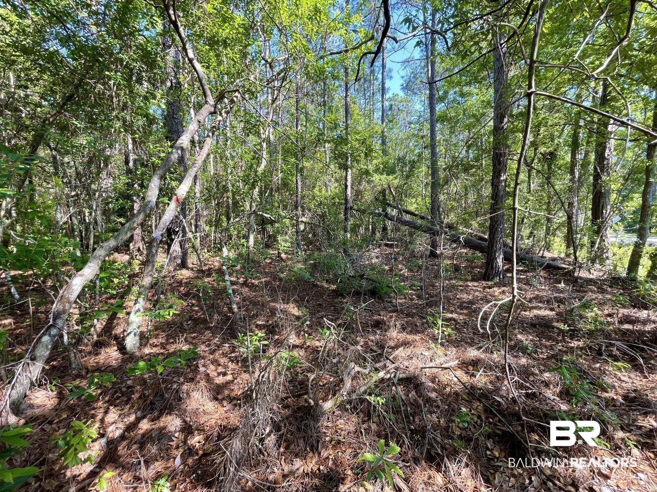 0 Bellingrath Road Coden, AL 36523 - Photo 7 of 11