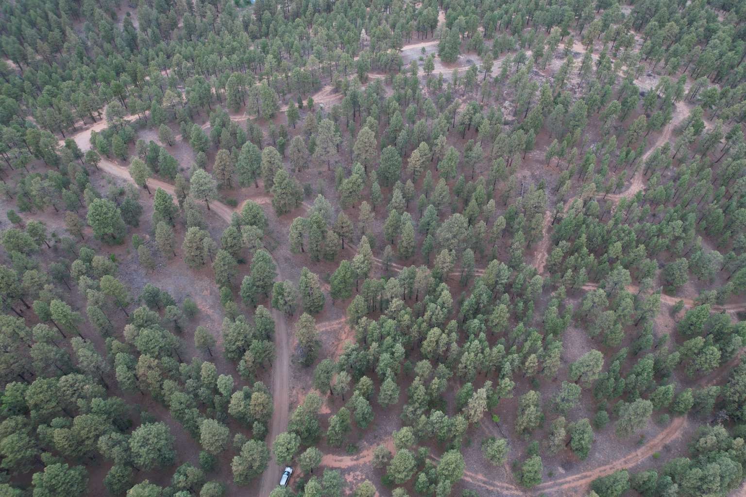 0 A015 County Road Mora, NM 87732 - Photo 34 of 40
