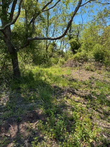 0 Lee's Ridge Road Block Island, RI 02807 - Photo 2 of 3